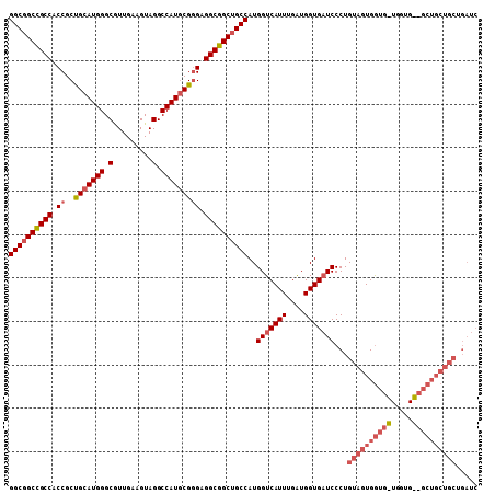 dotplot