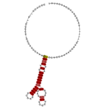 secondary structure