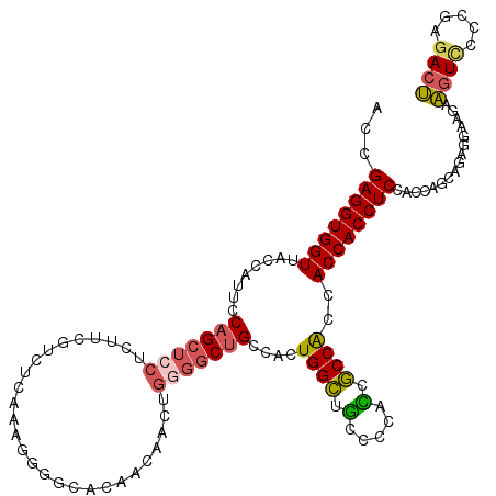 secondary structure