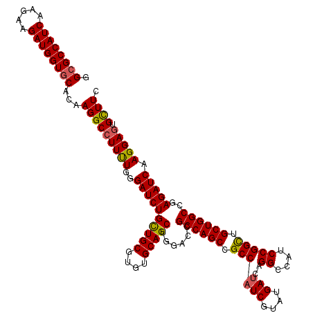 secondary structure