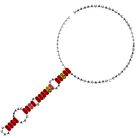 secondary structure