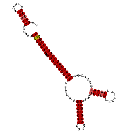 secondary structure