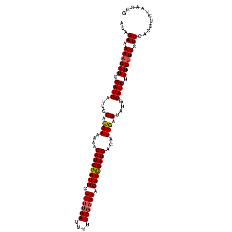 secondary structure