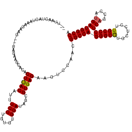 secondary structure