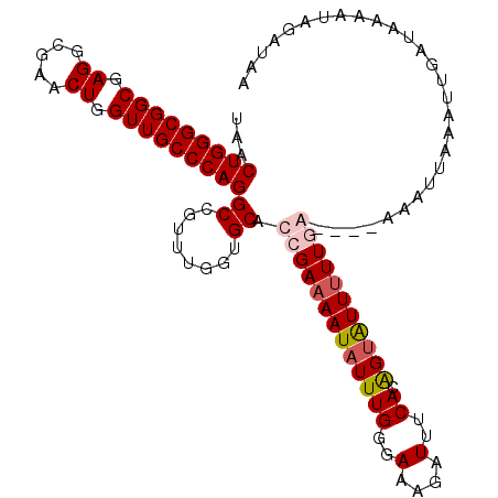 secondary structure