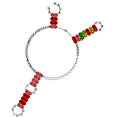 secondary structure