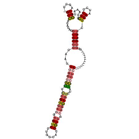secondary structure