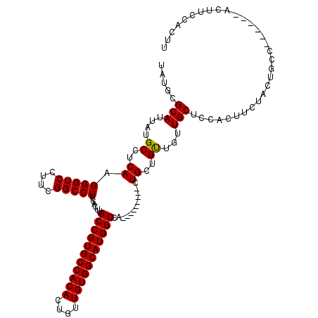 secondary structure