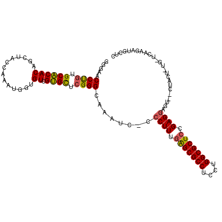 secondary structure