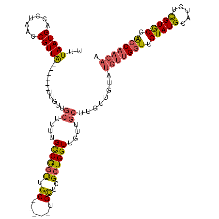 secondary structure