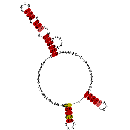 secondary structure