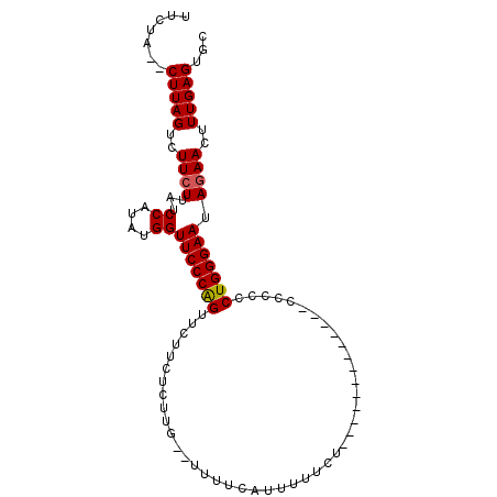 secondary structure