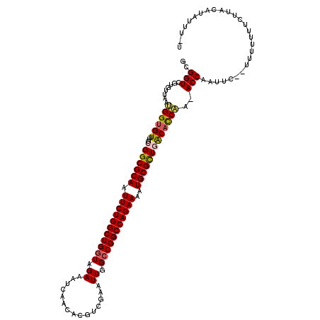 secondary structure