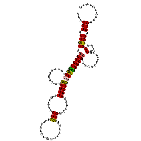 secondary structure