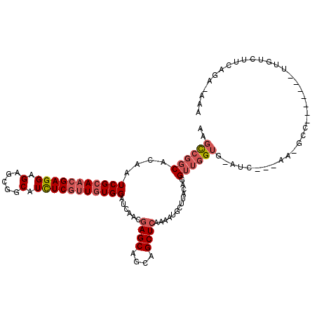 secondary structure