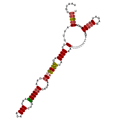 secondary structure