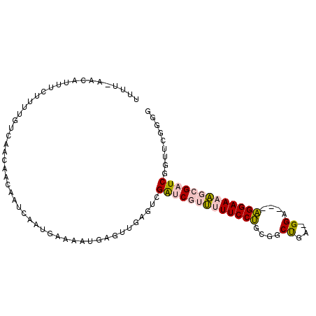 secondary structure