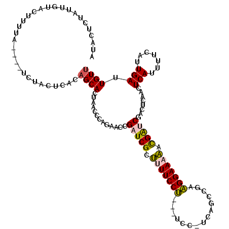 secondary structure