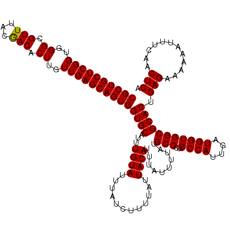 secondary structure