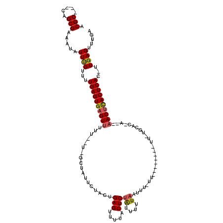 secondary structure