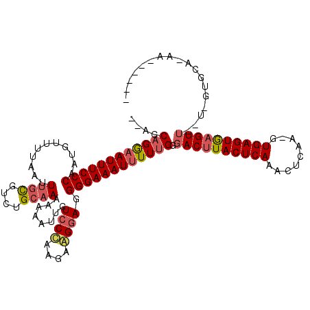 secondary structure