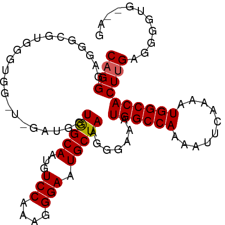 secondary structure
