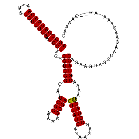 secondary structure