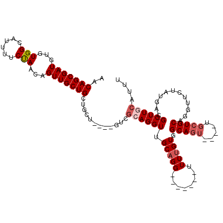 secondary structure