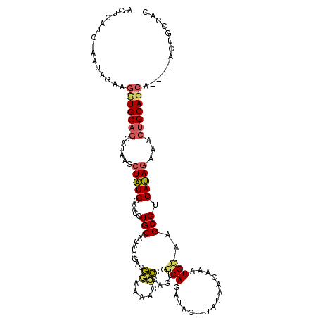 secondary structure