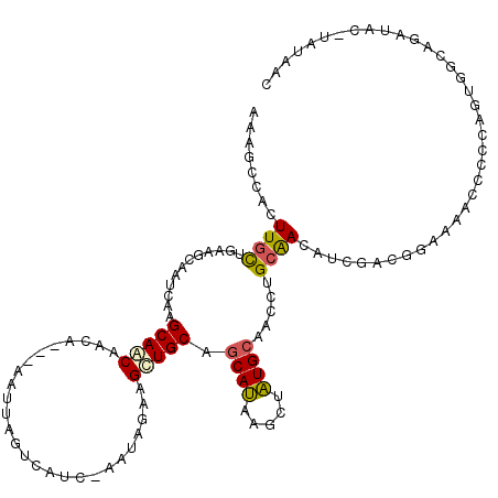 secondary structure