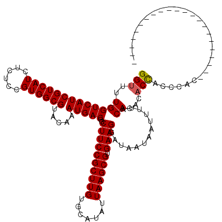 secondary structure