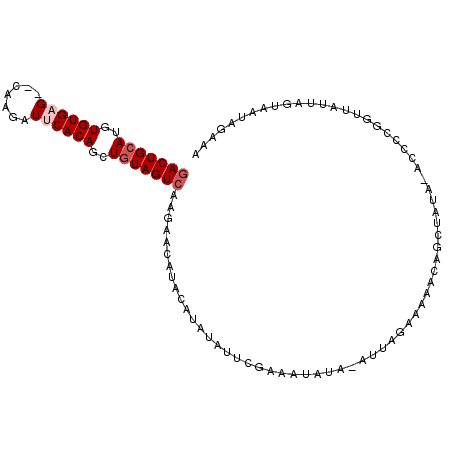 secondary structure
