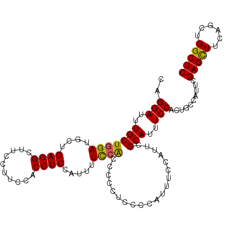 secondary structure
