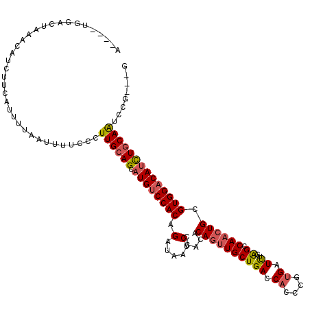 secondary structure