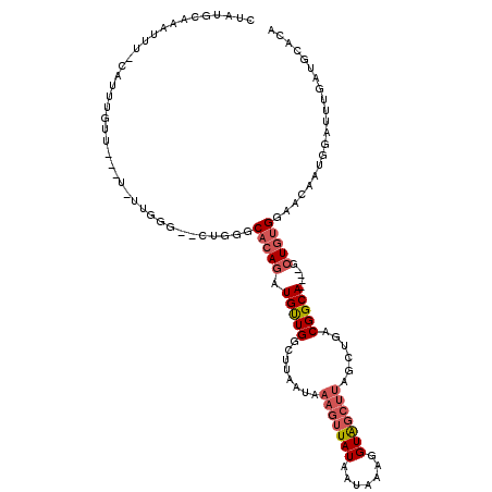 secondary structure