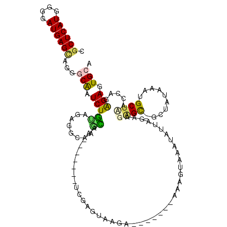 secondary structure