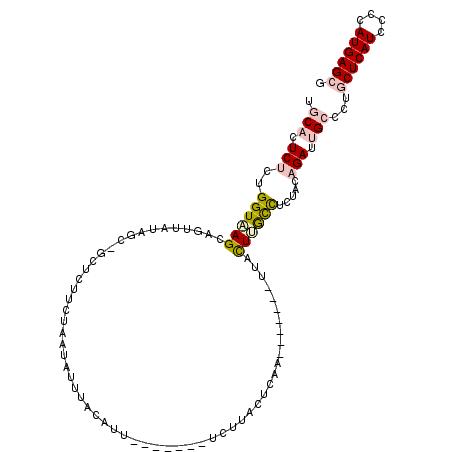 secondary structure