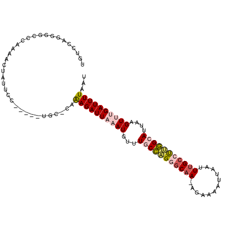 secondary structure