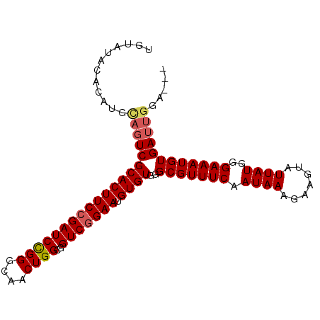 secondary structure