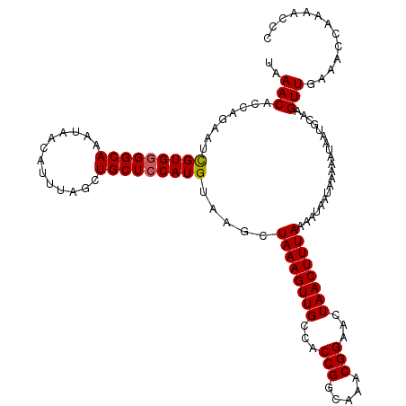 secondary structure