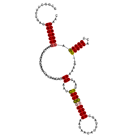 secondary structure