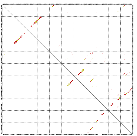 dotplot