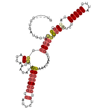 secondary structure