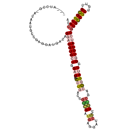 secondary structure