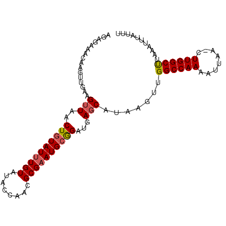 secondary structure