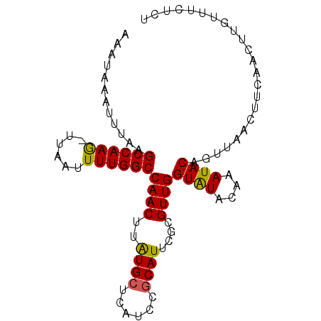 secondary structure