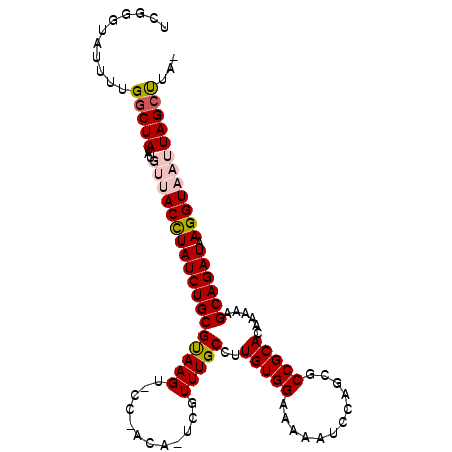 secondary structure