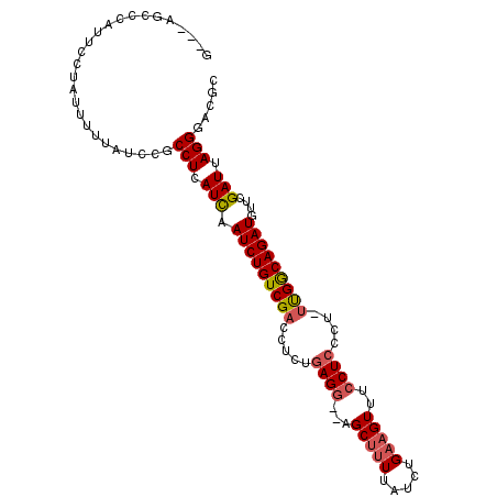 secondary structure