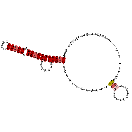 secondary structure