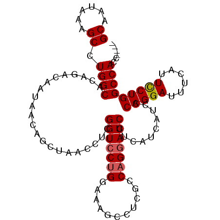 secondary structure